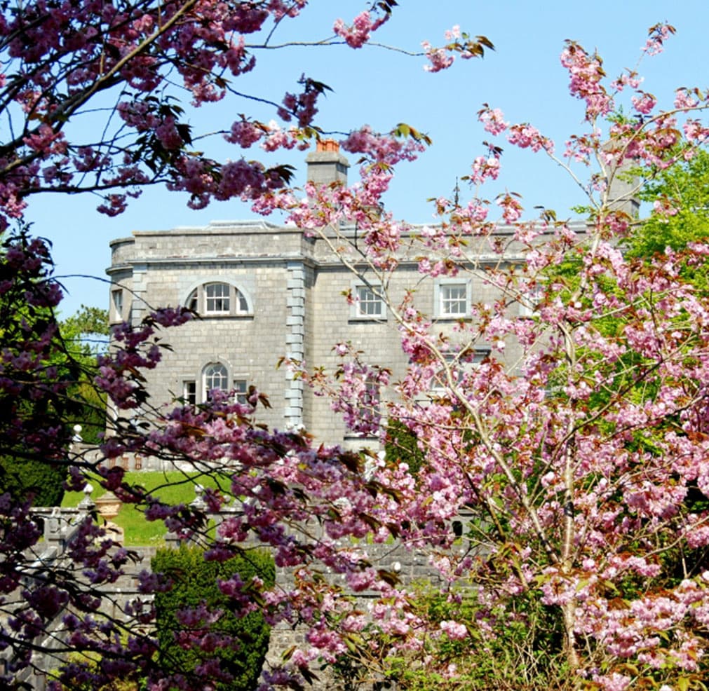 View of Belvedere House through the trees.